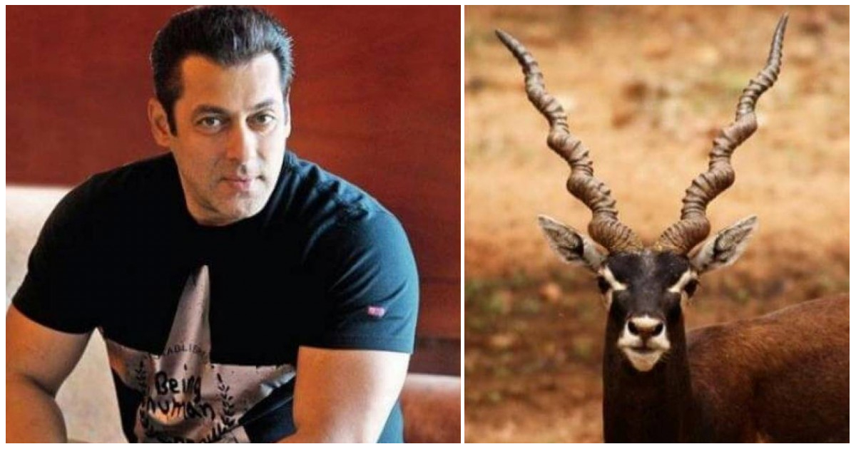 Blackbuck case: Hearing on Salman Khan's transfer petition postponed